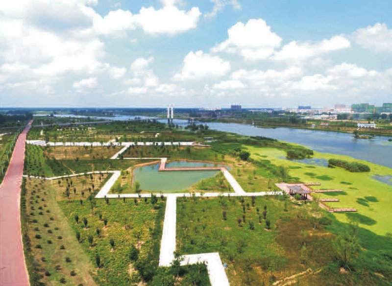 固鎮(zhèn)澮河公園景觀工程.jpg